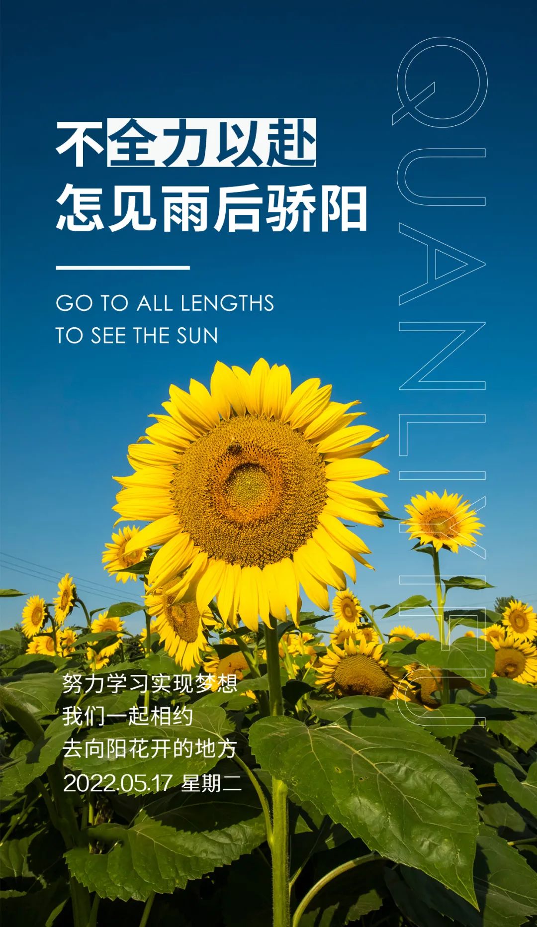 励志图片不带字大全集(2022) - 赤虎壹号