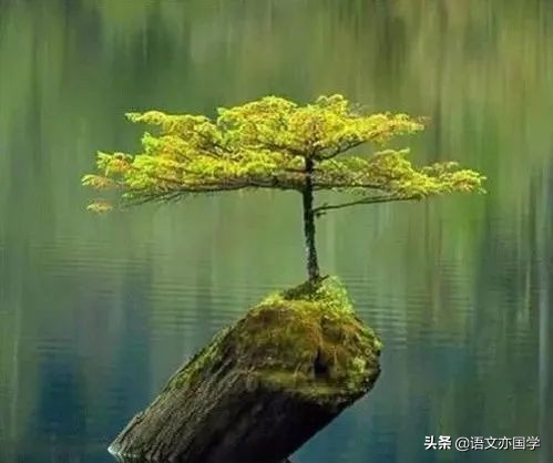 《荷塘月色》《故都的秋》《我与地坛》群文教学应该关注的点