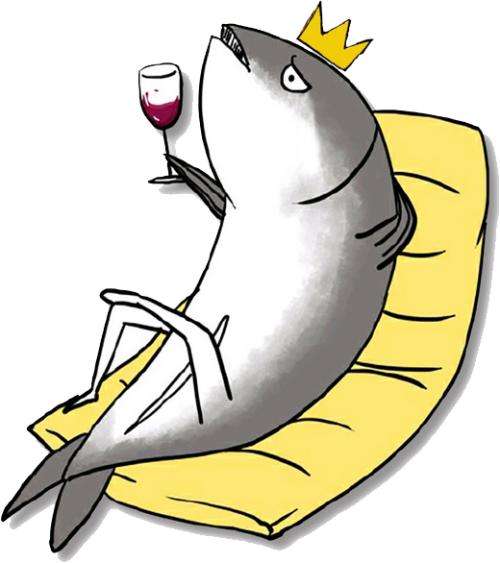 人工甲鱼价格多少一斤印度恒河鳖泛滥成灾