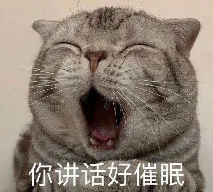 搞对象用的可爱猫咪表情包 谁又会在乎我的感受呢