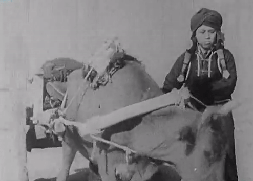 吴茵33岁确立“东方第一老太婆”的地位，终身未育，晚年写回忆录