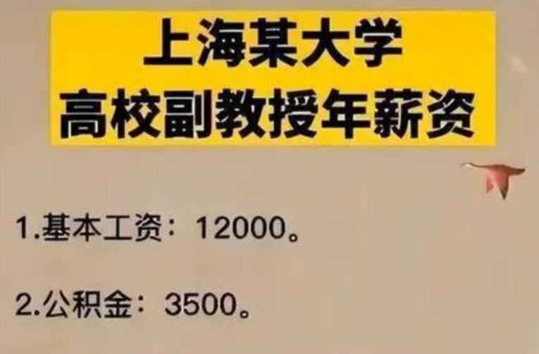 985高校副教授晒工资，年薪让人羡慕，网友：公积金是我的月薪