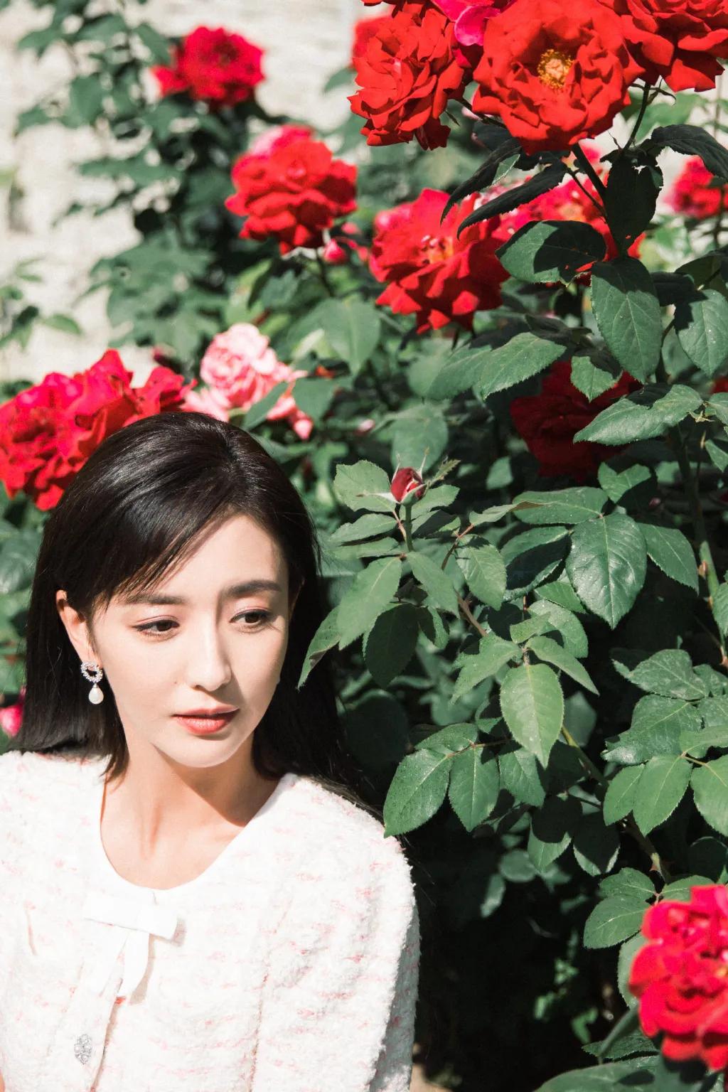 佟丽娅这气质，谁能不喜欢