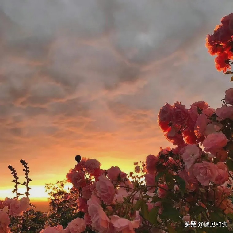 男人这样对你，很可能是想把你当免费“保姆”，要懂得远离