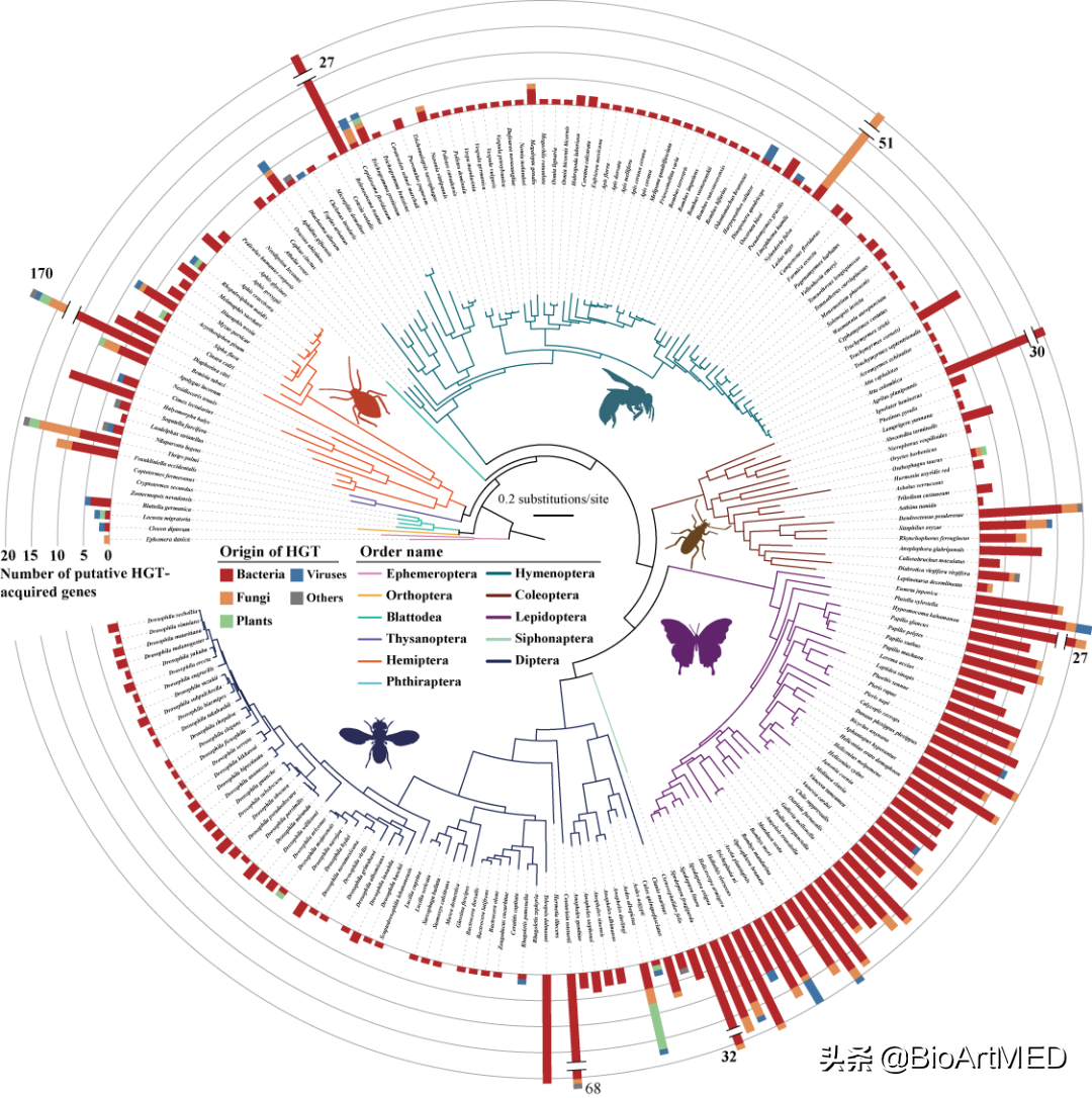 水平转移基因广泛存在昆虫基因组中，并增强雄性昆虫求偶行为