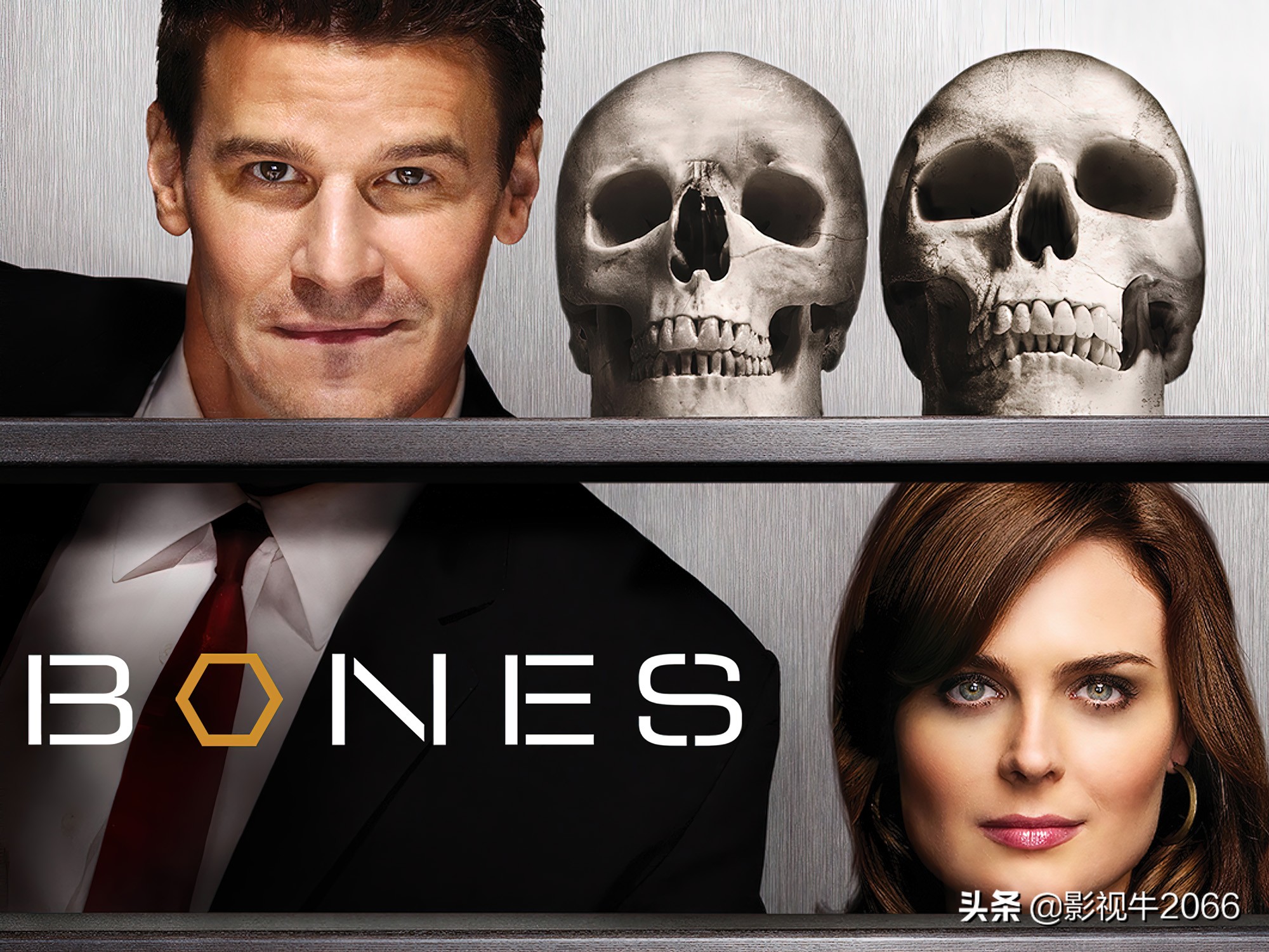 豆瓣9.1分识骨寻踪第四季，超过前面三季，每集都值得看三遍