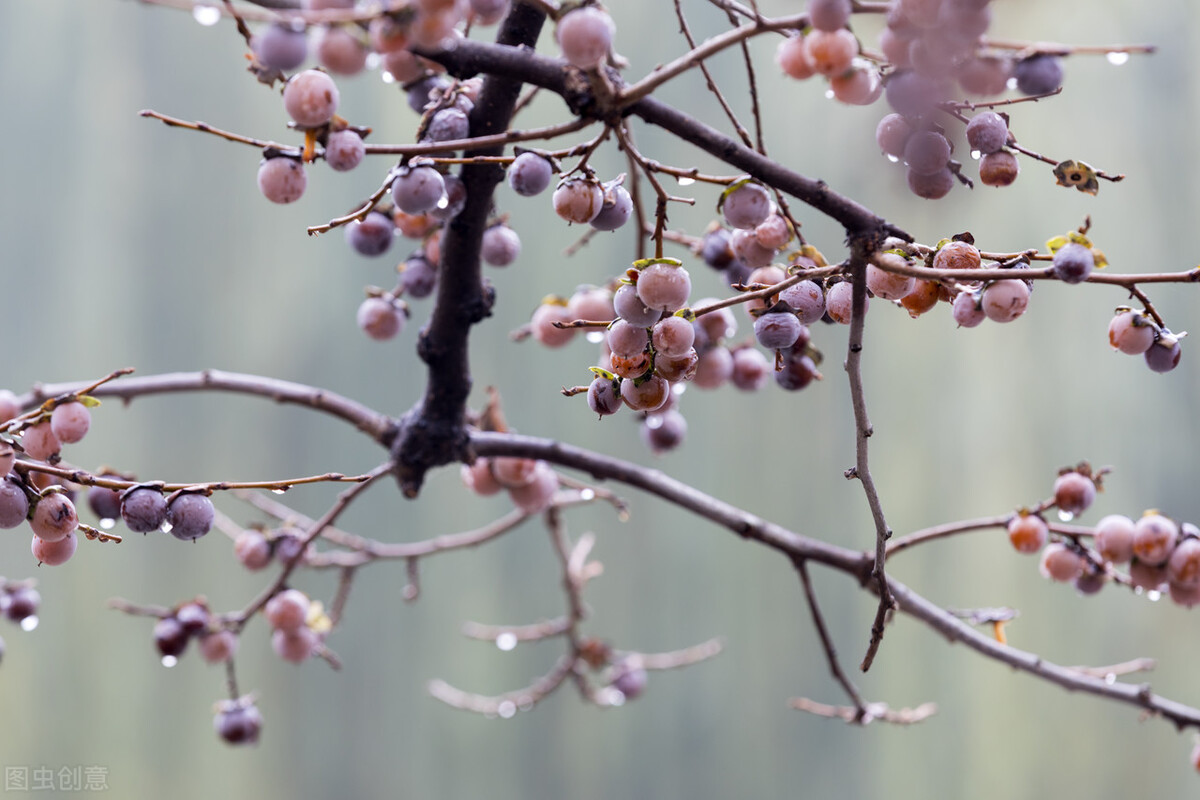 写作是最划算的一笔时间投资