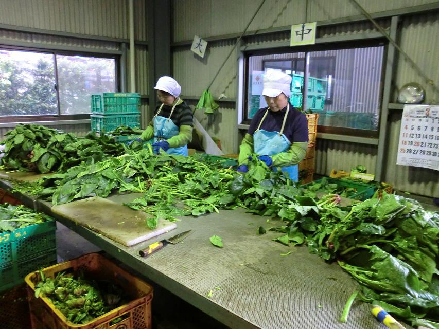 多少岁可以打工（年龄卡得严吗，为你解答出国打工的年龄）