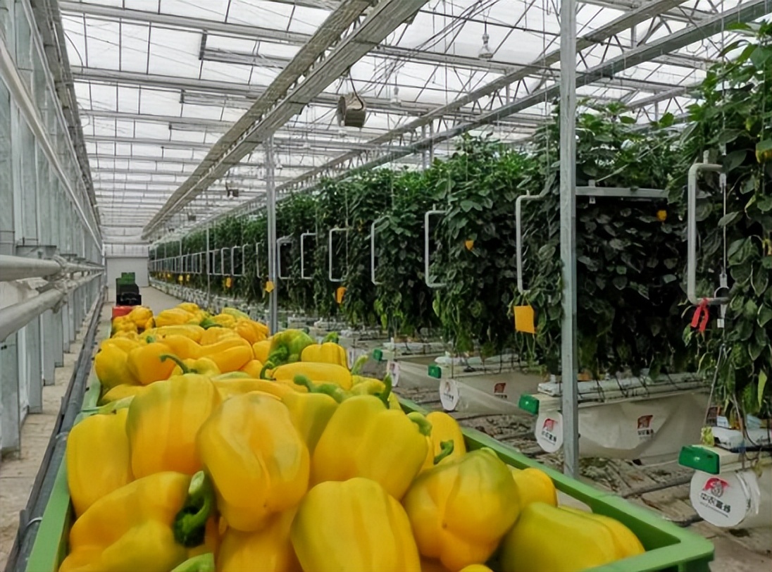 政策：推動農機購置與應用補貼；立華股份：發(fā)力預制菜業(yè)務