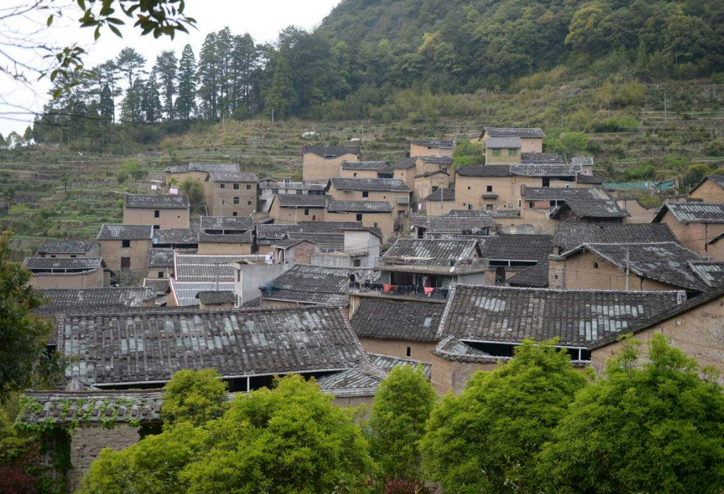 放弃落户上海、20万年薪，90后退伍军人回农村“养蜂”，获国家部委表彰！