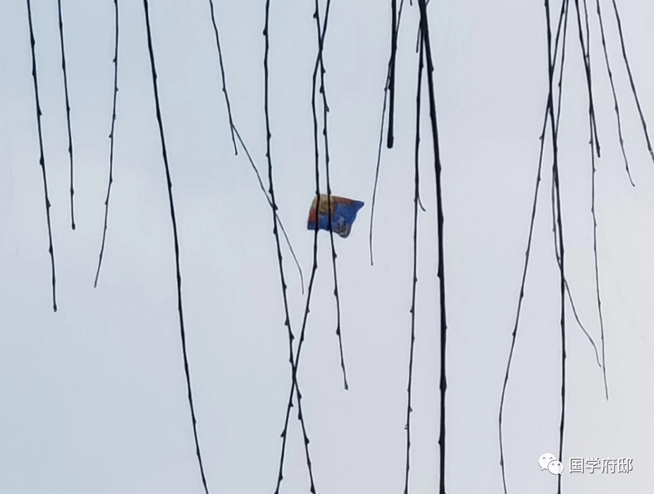 风筝，最美春日诗词