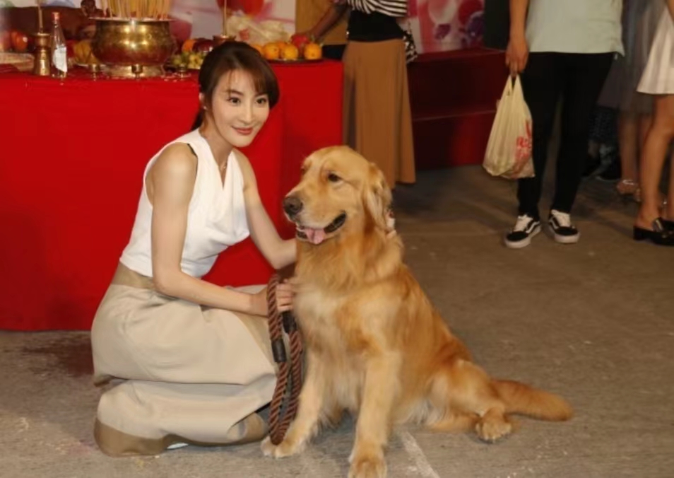 再博视后？TVB知名女星半年连拍三套剧，自曝一周只睡20个小时