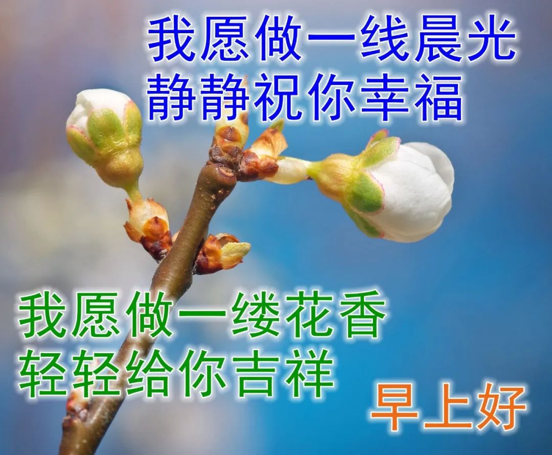 快乐开心早上好祝福图片 美好祝福早安问候图片