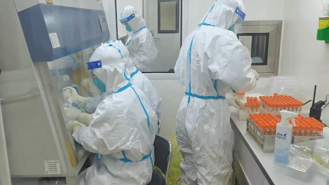 绿“马”守卫战