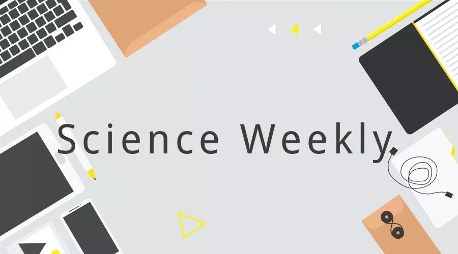 我们为什么会“一朝被蛇咬，十年怕井绳”？| 一周科技