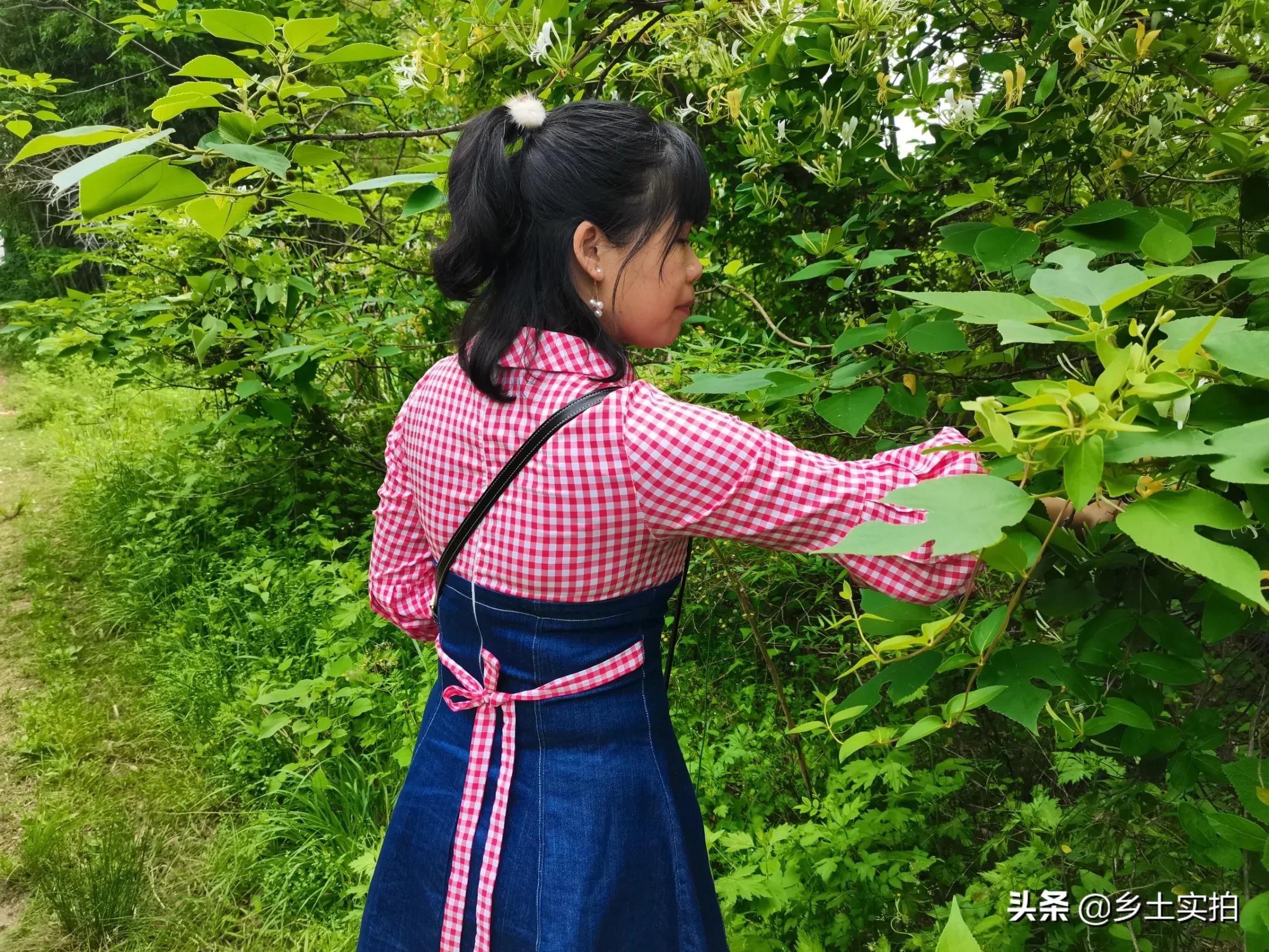 歌曲《还没有爱够》严重误导学生，湖北37岁农民建议立即封杀