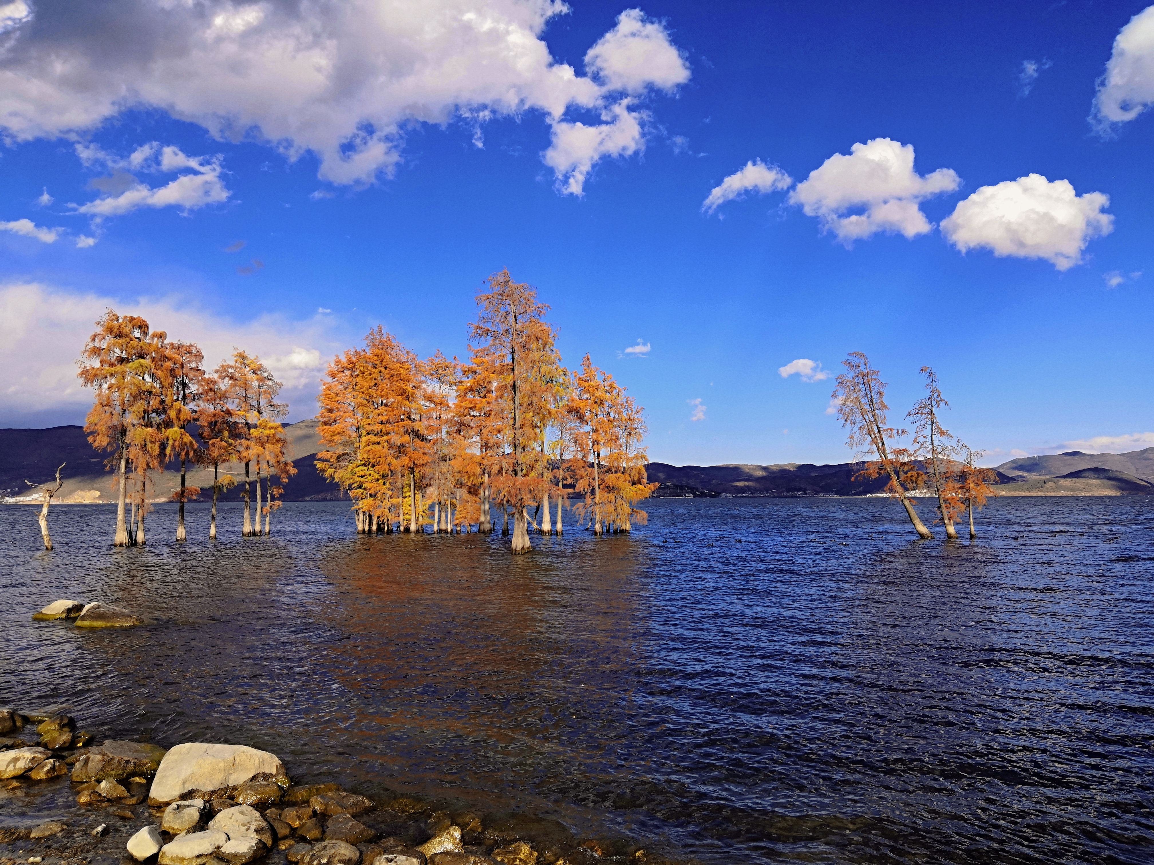 大理不踩雷网红景点|这5个网红打卡地,你去过几个?