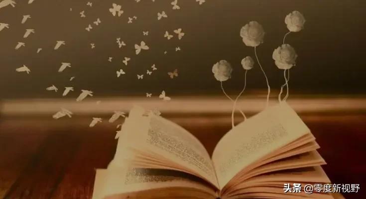 刘宏伟律师谈高手的三个释明