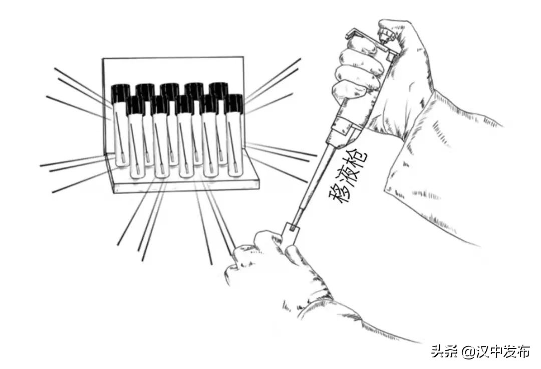 勿催！一份核酸檢測報(bào)告的誕生不簡單→