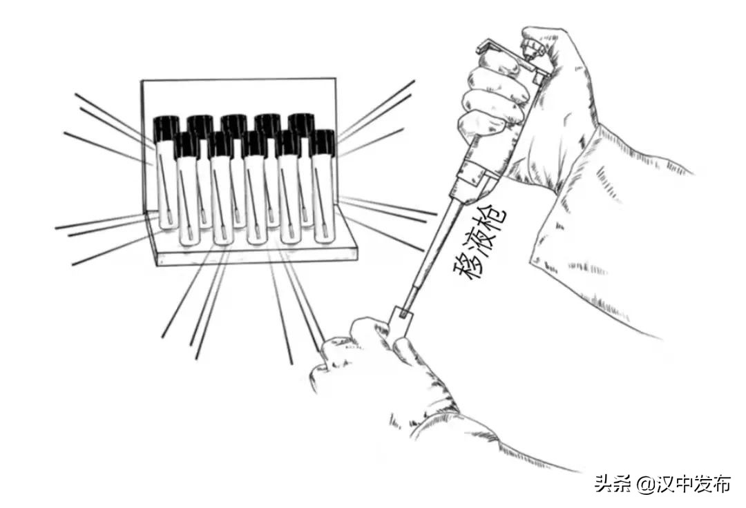 勿催！一份核酸检测报告的诞生不简单→