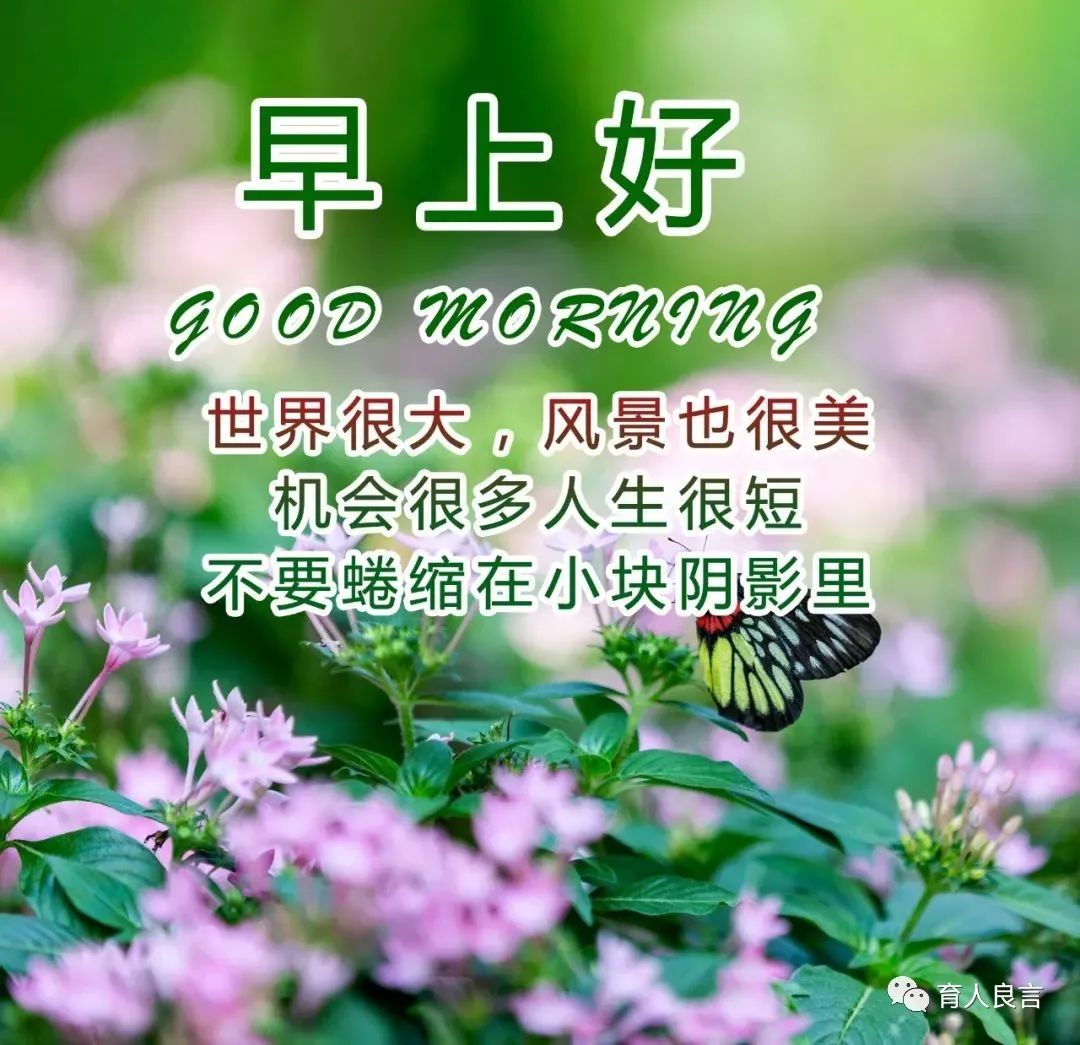 早上好祝福問候正能量語錄,朋友圈早安祝福圖片