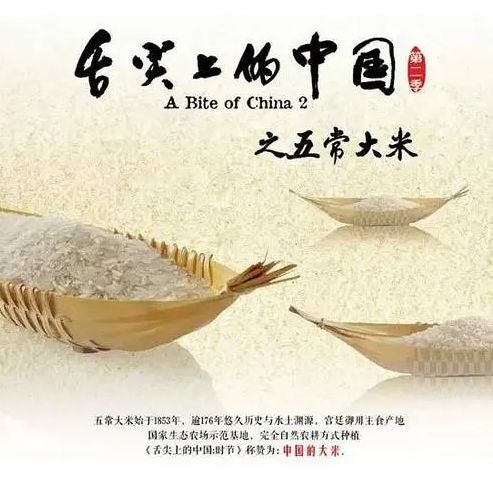 金禾现代农业带您品尝，舌尖上的中国同款大米