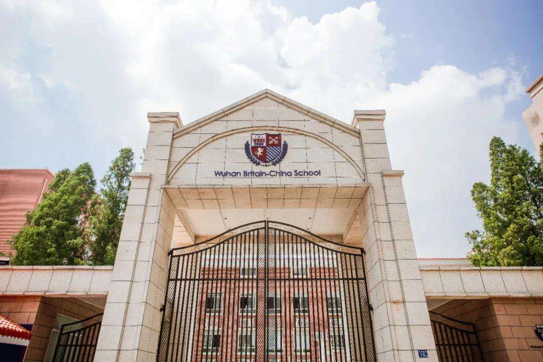 纽约大学阿布扎比分校(湖北一女孩被世界名校提前录取)