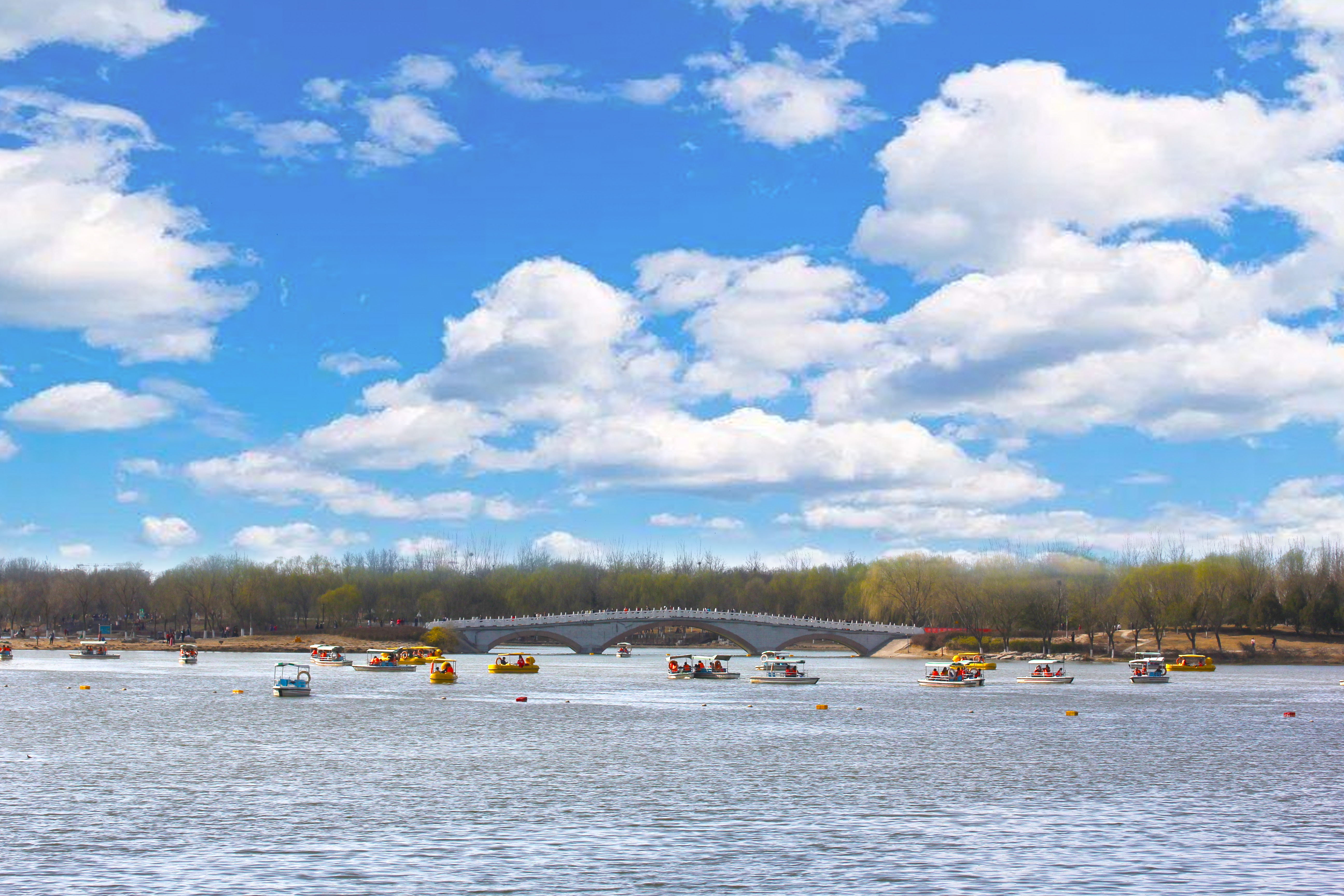 北京郊游好去处(北京8个春游好去处,赏花观景交通便利,重点是都免费)