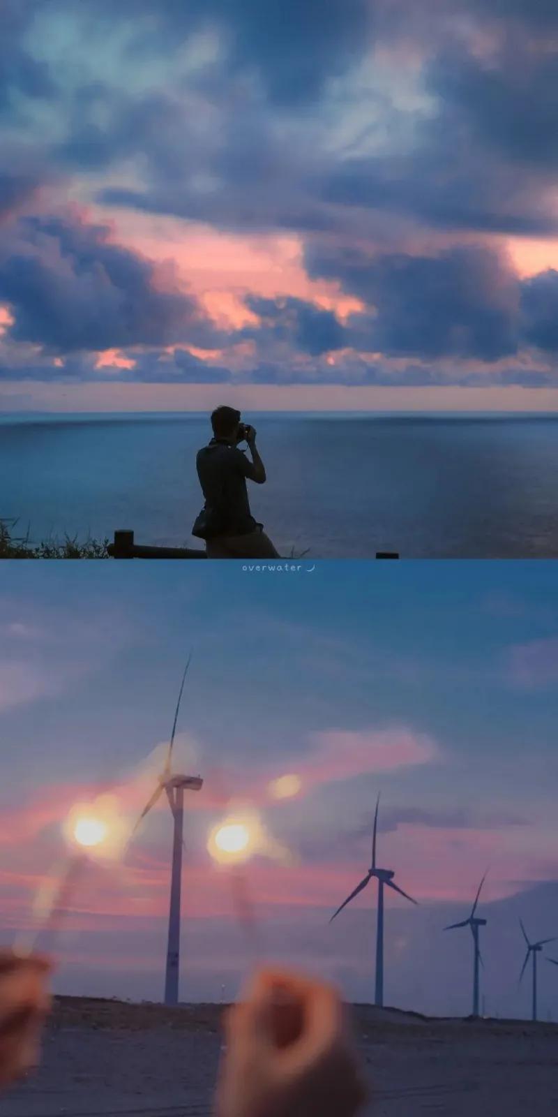 男主是教授甜文书单一