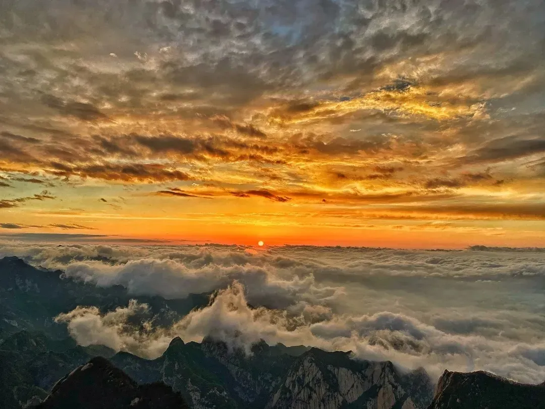 约定！待疫情散去，你我共赏华山美景~