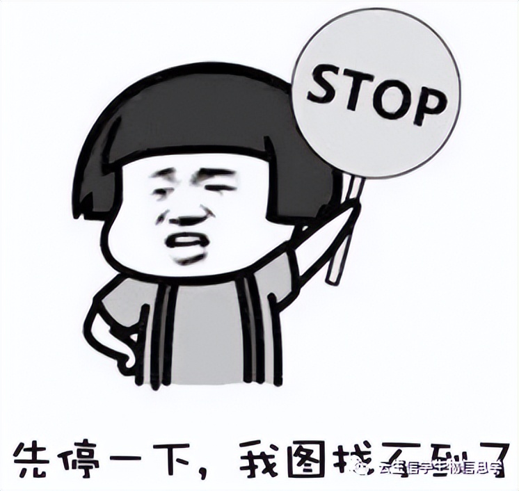 只做预后和富集分析就能发6分+？且看双基因如何一举拿到接收函