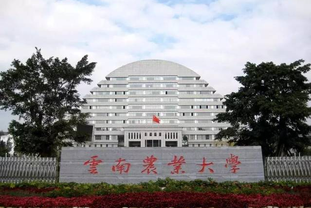 五所设计学类录取线最低的公办院校，你所在的省份录取线是多少？