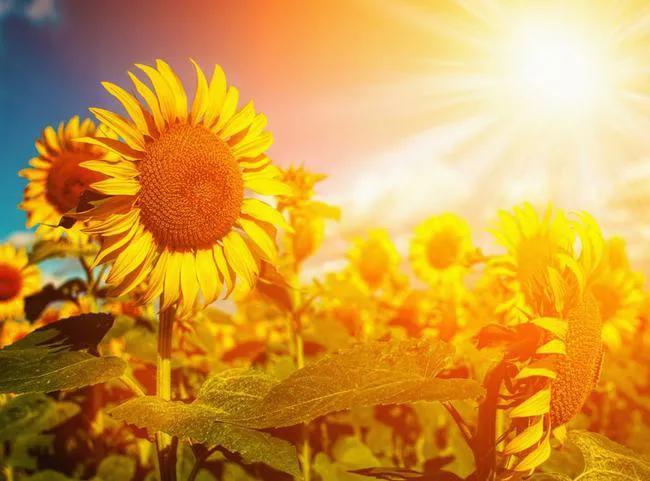 穿过雾霾,阳光会更耀眼