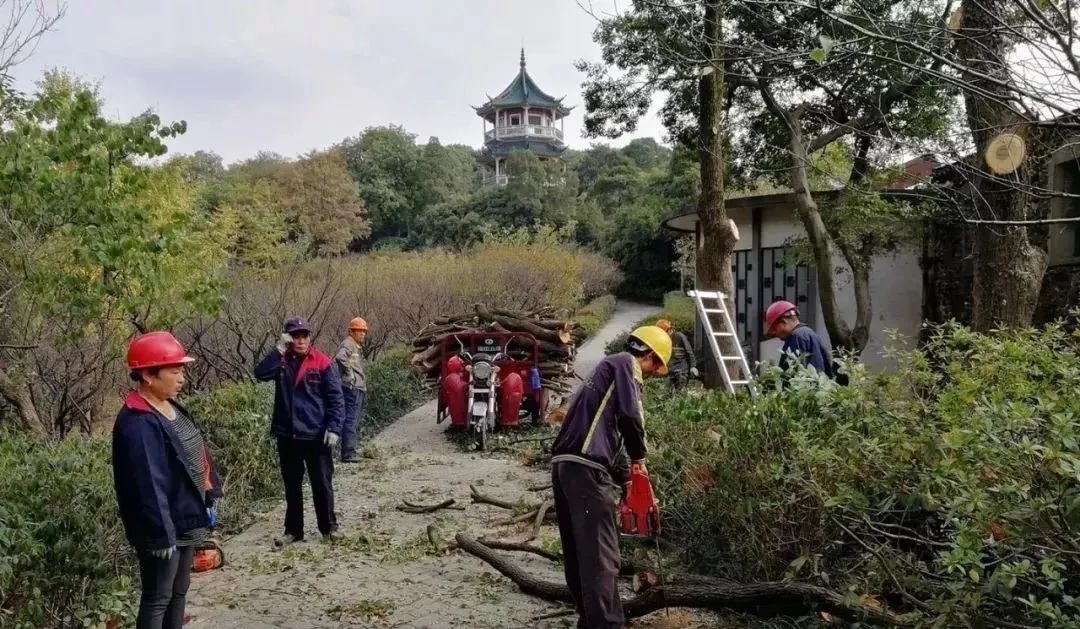 场地清理造价编制注意事项及要点分析