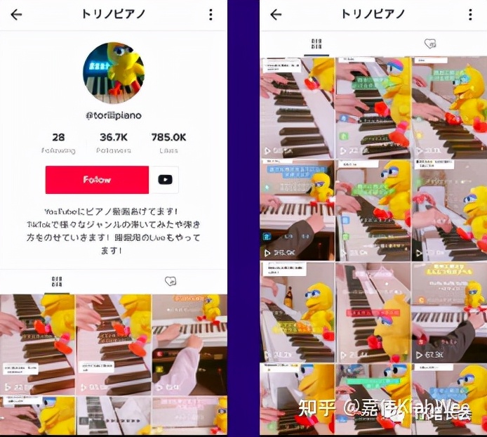 TikTok/国际版抖音/海外版抖音2万字干货教程，新手必看