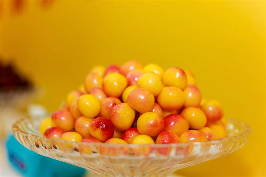 �������й����γ�ӣ����Ӫ������5��18���ڳγ���ӣ�Ҳ�ҵ��������