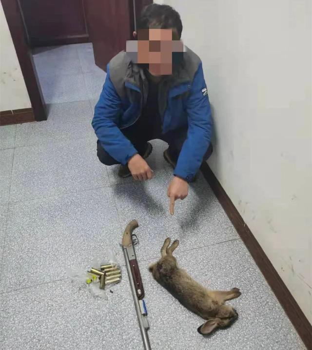 寵物兔多少錢一只,一只兔子多少錢