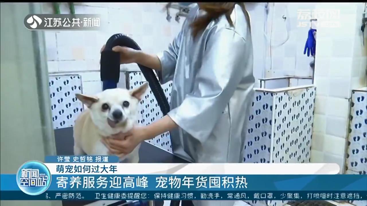 萌宠如何过大年？寄养服务迎高峰 宠物年货囤积热