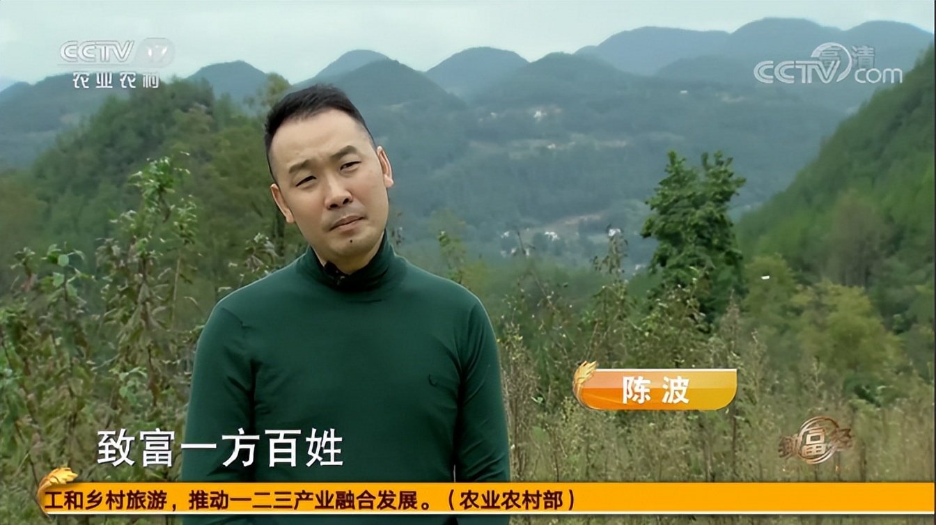 2015年,神仙树叶终于长出叶子,神仙豆腐也制作成品,可如此色香味俱全