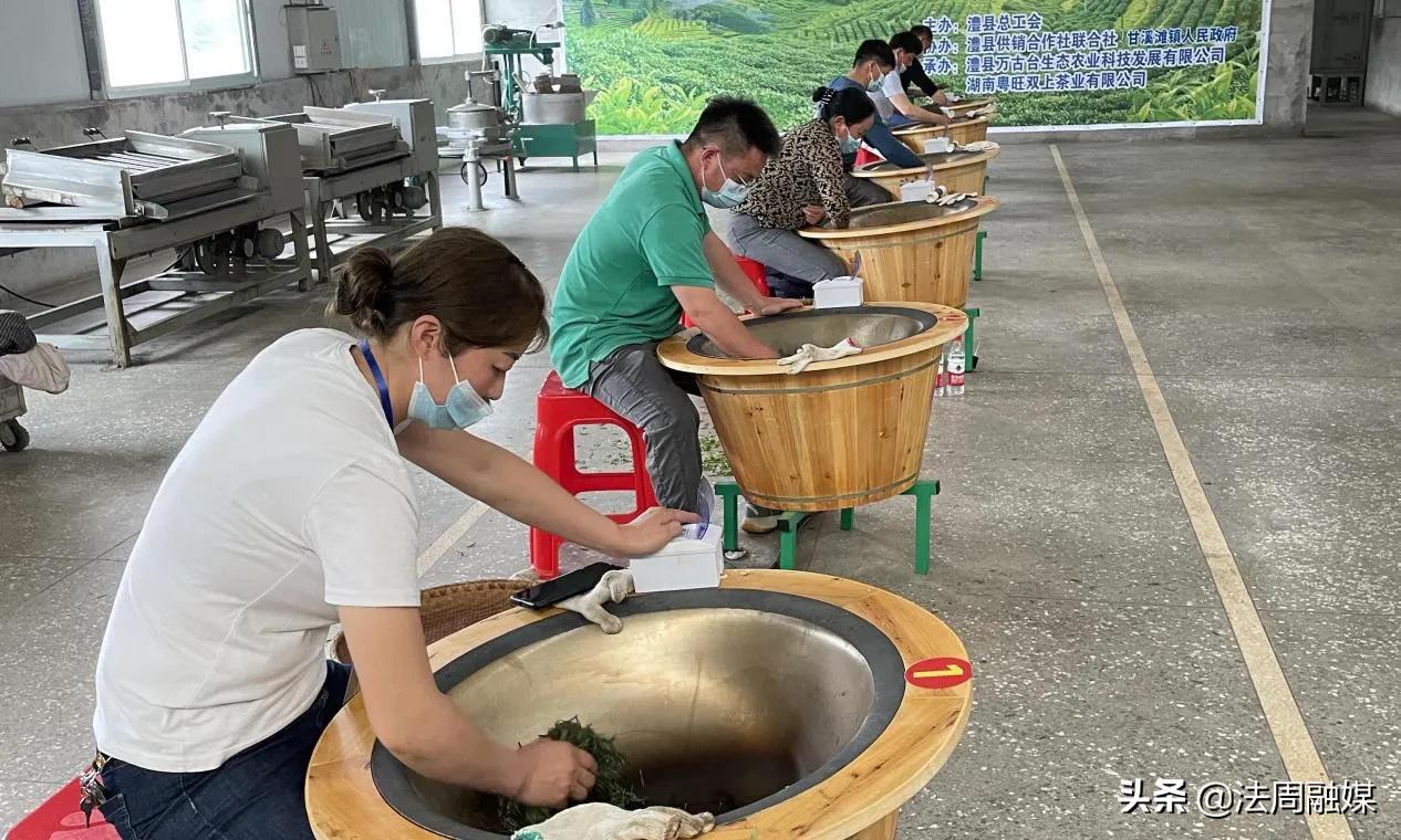 澧县举办首届“澧州十佳手工制茶能手”职业技能竞赛