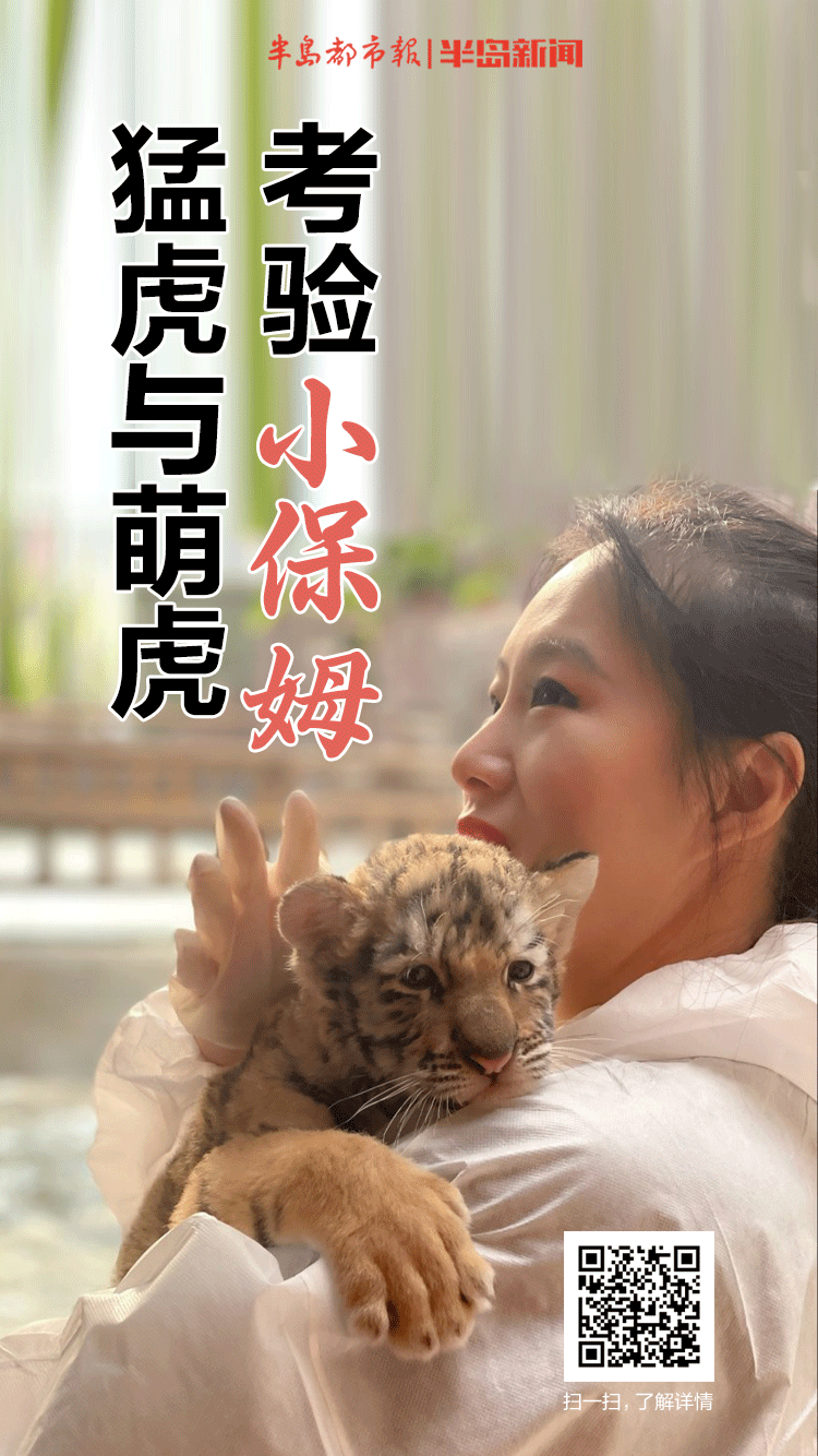 人与猛虎和谐共处：今天我是你的守护者