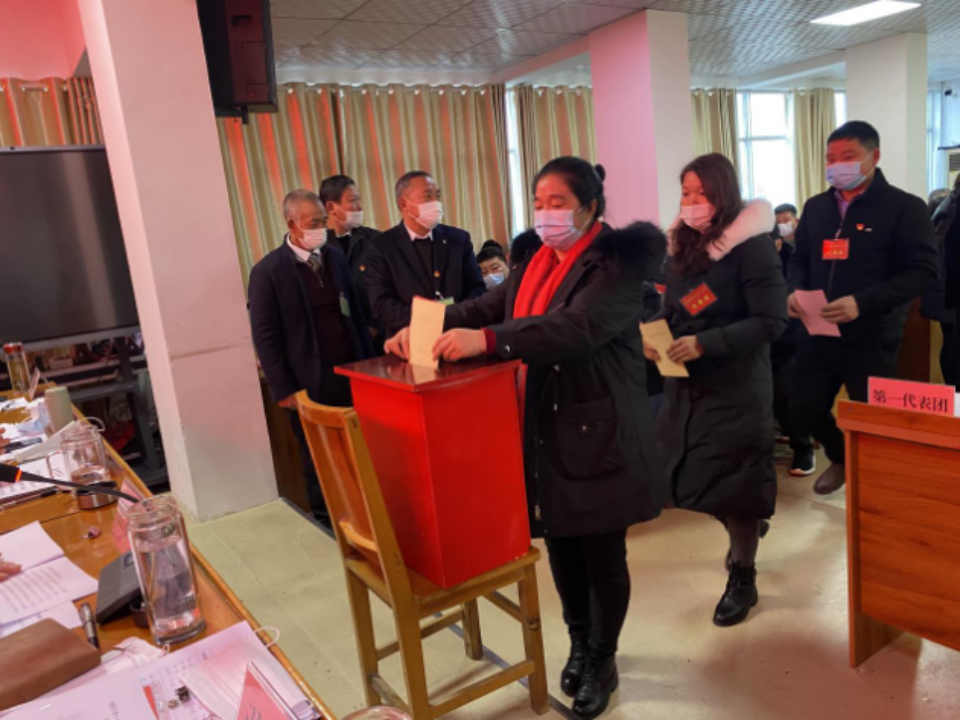 东风浩荡满目春 只争朝夕启新程 ——桐柏县城郊乡：第十七届人民代表大会第一次会议胜利召开