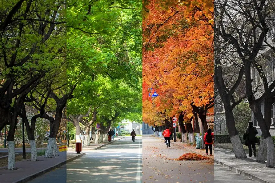 央视主持人亚宁：因相貌俊美被怀疑性取向，退居幕后身价500亿