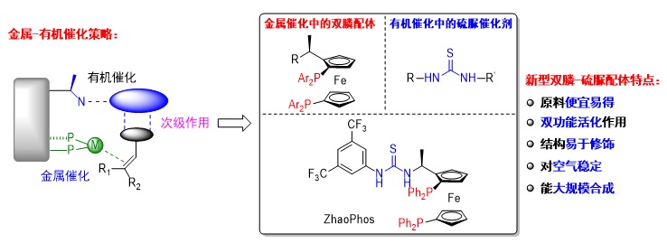 南方科技大学张绪穆教授近年来工作概览