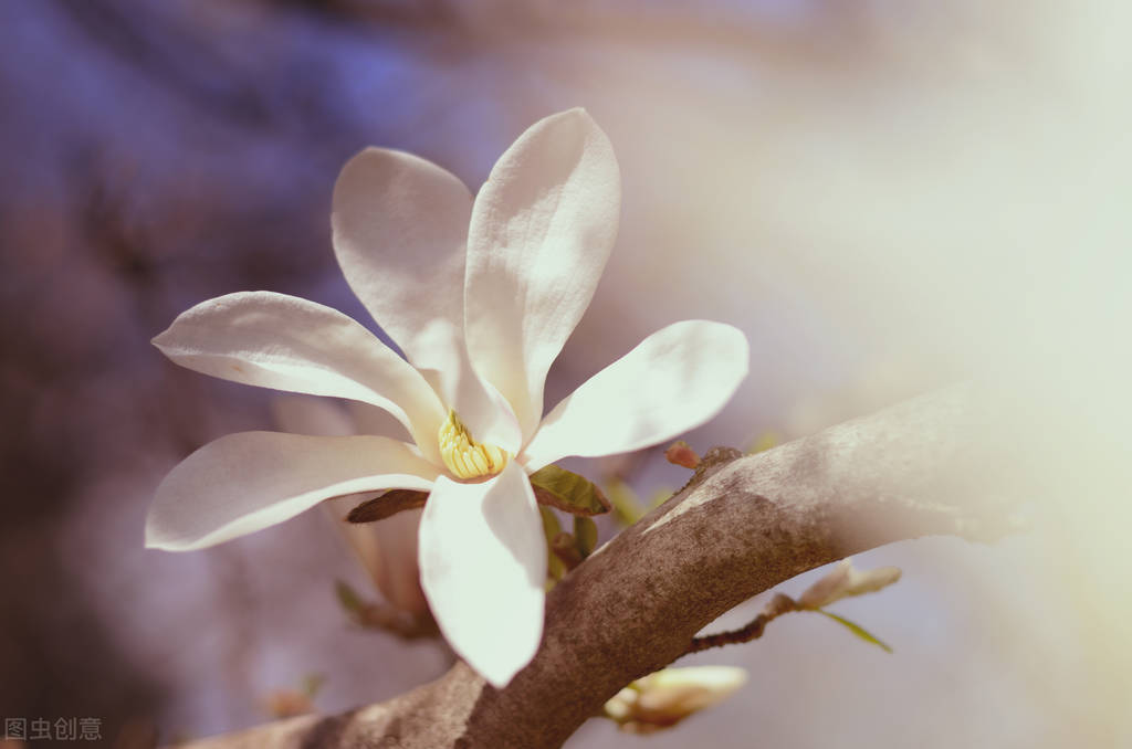 让男人更爱你的高手段：“风情”