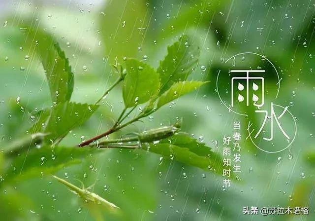 这才是诗歌嘛！六首雨水诗，每一首都令人极其喜爱