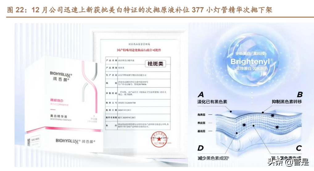 医美化妆品行业之华熙生物研究报告：龙头强α逐步兑现