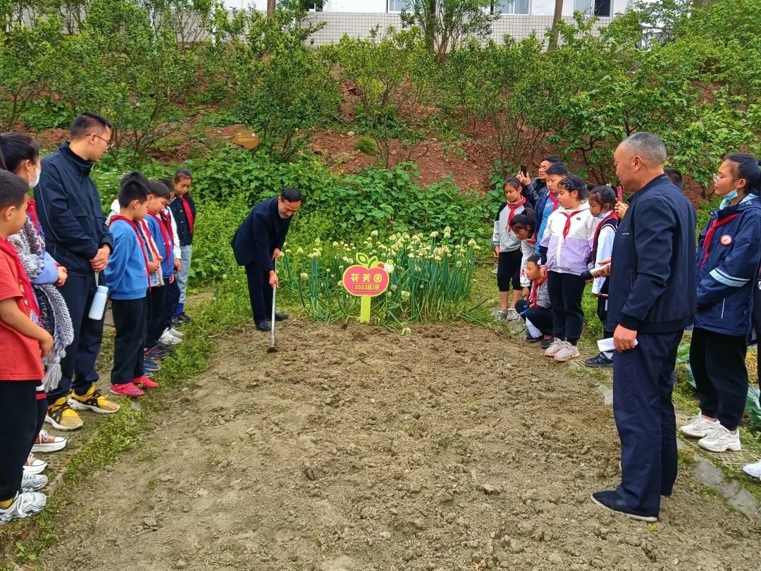 天府新区大林小学开展“春耕节”和“春意VS烟火”劳动实践活动