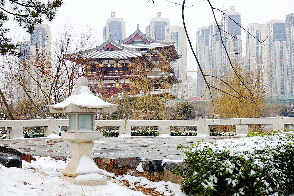 雪游九洲池