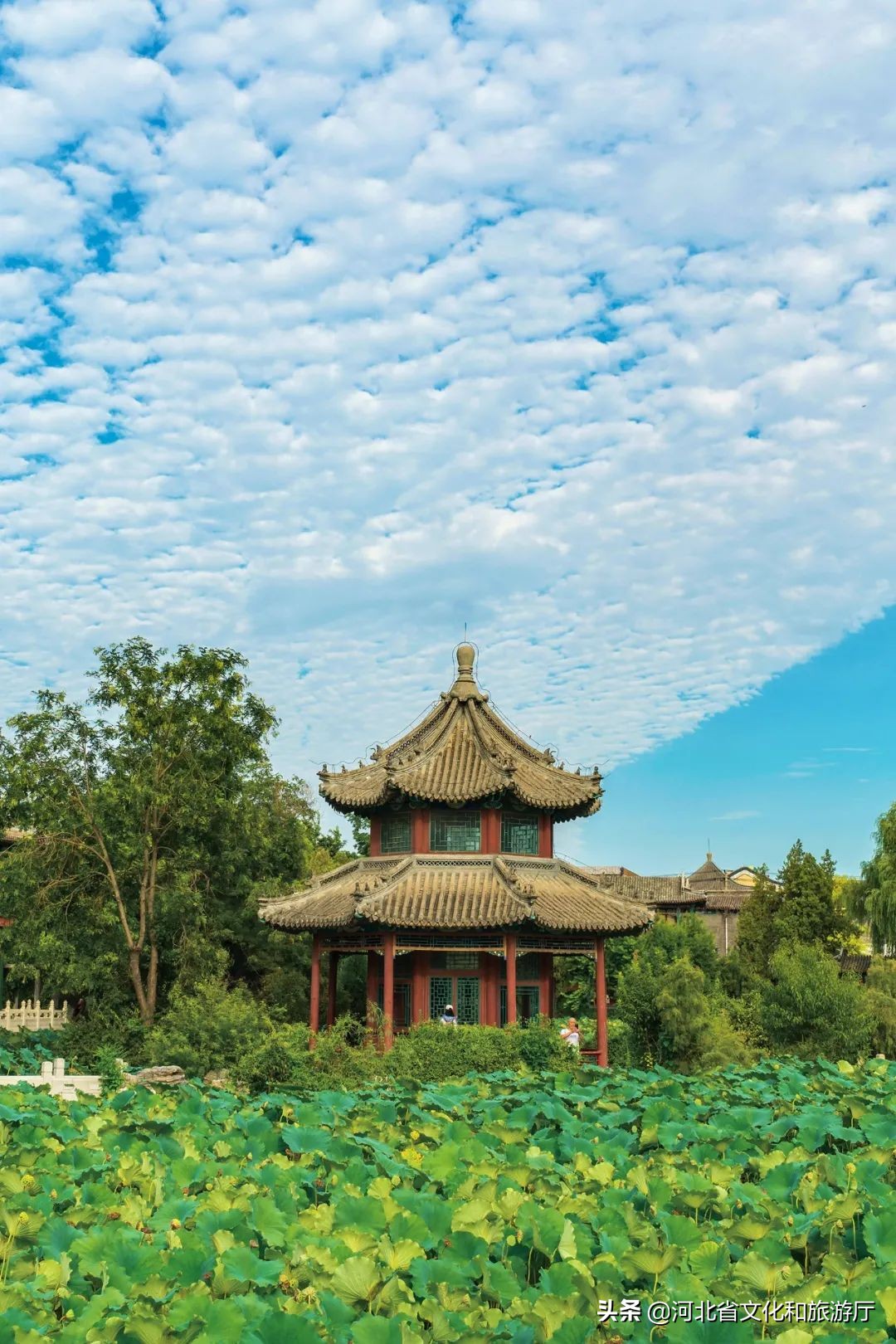 河北的“驴火之城”，含金量到底有多高？